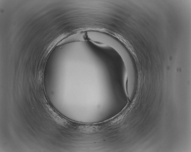 X0000083611185200703121555