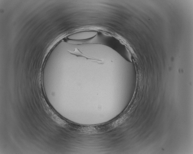 X0000083611186200703121555