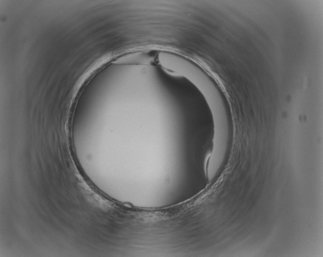 X0000083611189200703121554