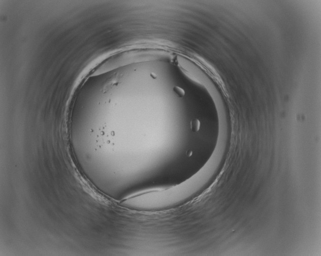 X0000083611192200703121554