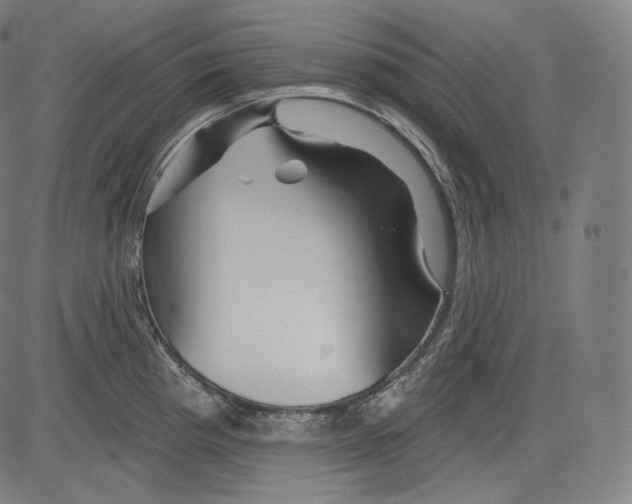 X0000083611193200703121554