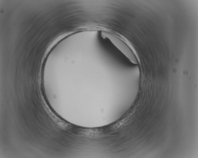 X0000083611195200703121554