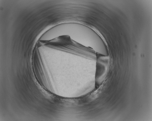 X0000083611197200703121554