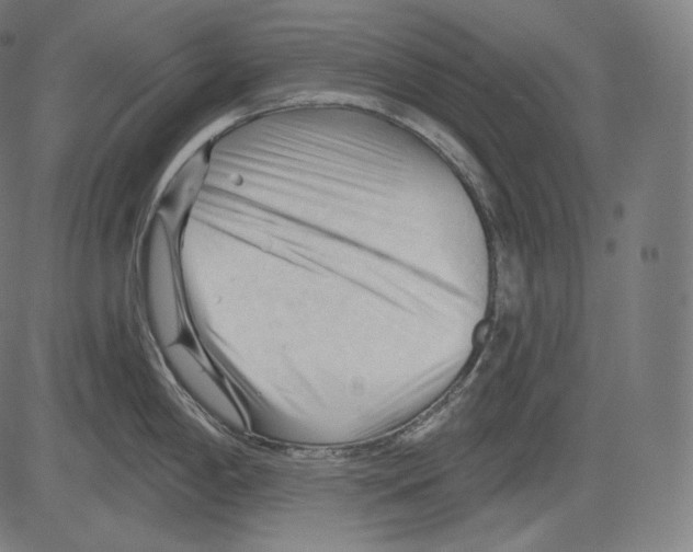 X0000083611198200703121554