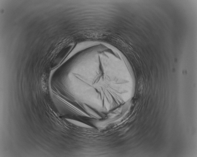 X0000083611202200703121554