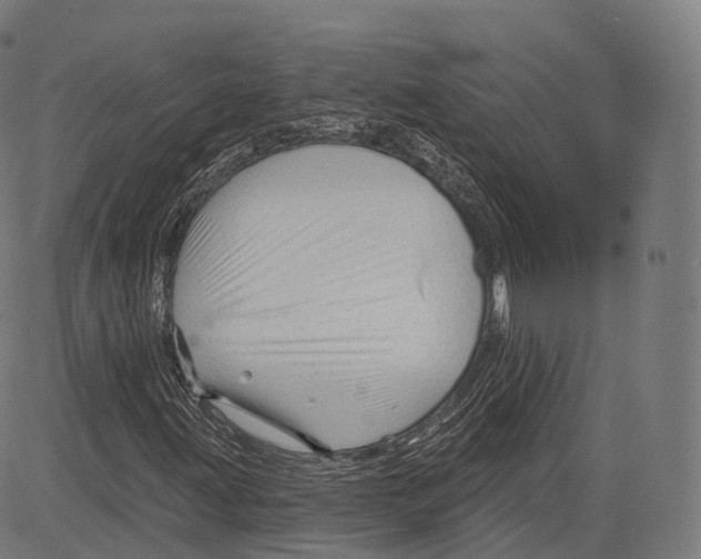 X0000083611203200703121554