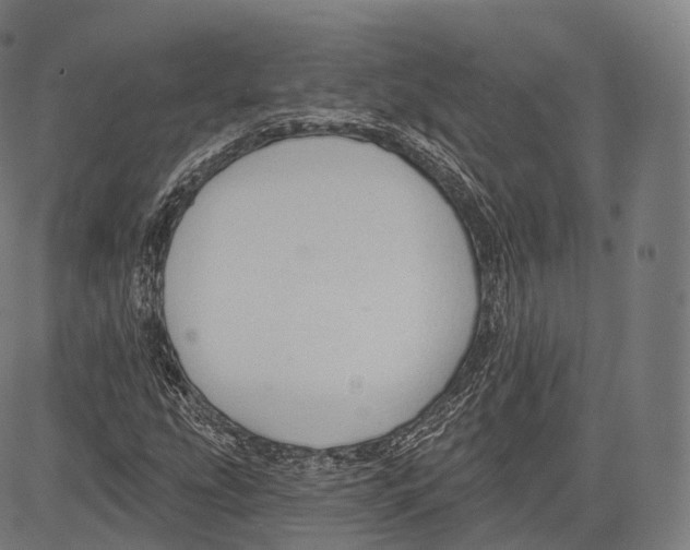 X0000083611207200703121554