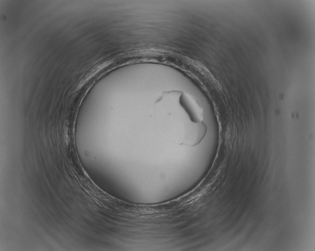 X0000083611209200703121554