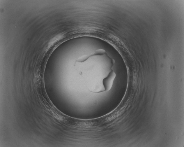 X0000083611210200703121554