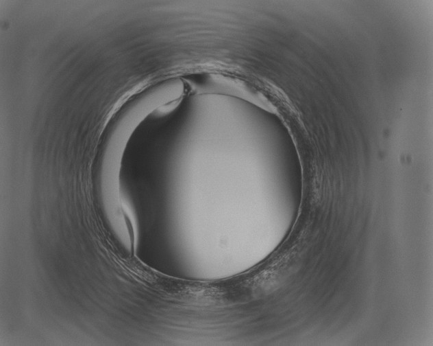 X0000083611218200703121554