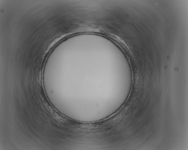 X0000083611220200703121554