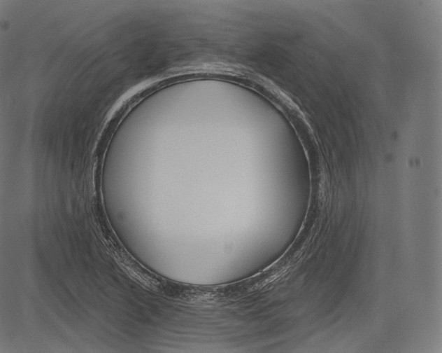 X0000083611222200703121554