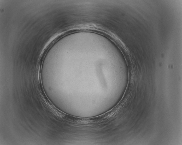 X0000083611224200703121554