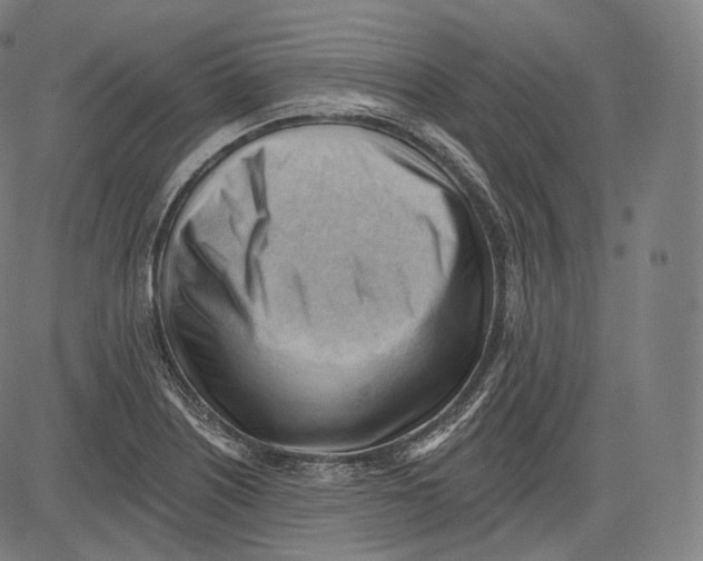 X0000083611226200703121554