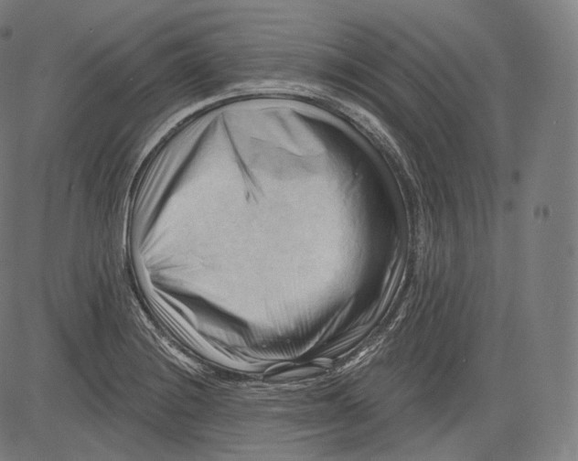 X0000083611228200703121554