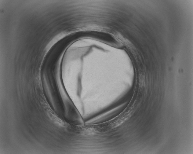 X0000083611230200703121554