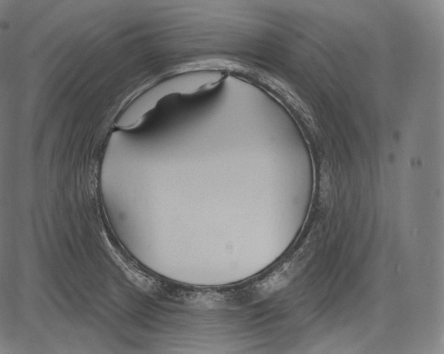 X0000083611233200703121554