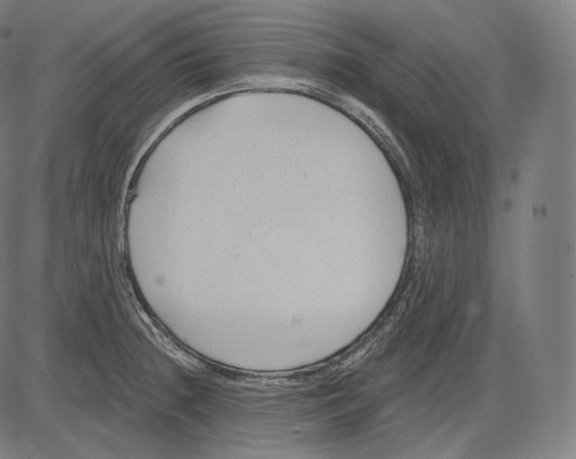 X0000083611236200703121554