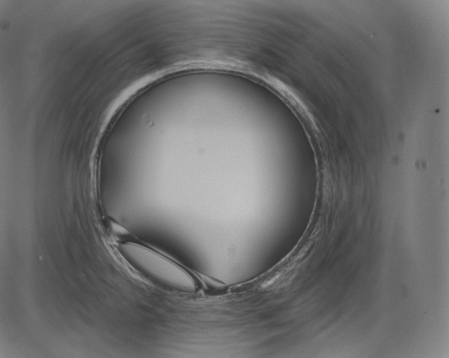 X0000083611238200703121554