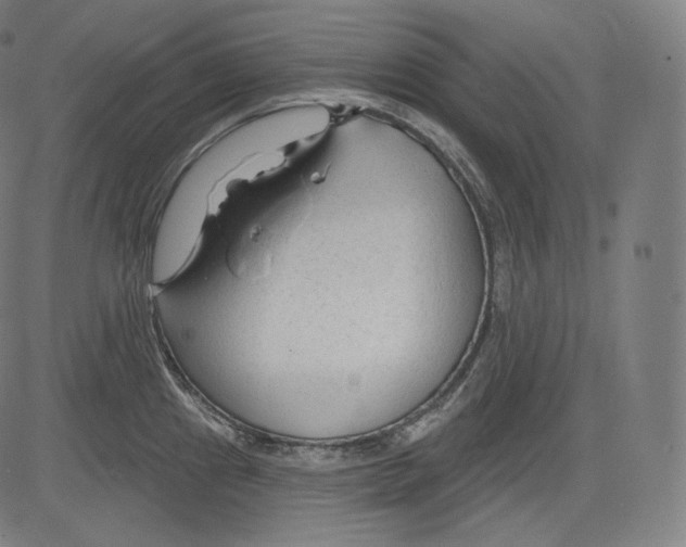 X0000083611241200703121554