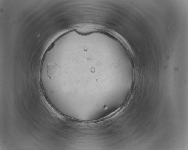 X0000083611244200703121554