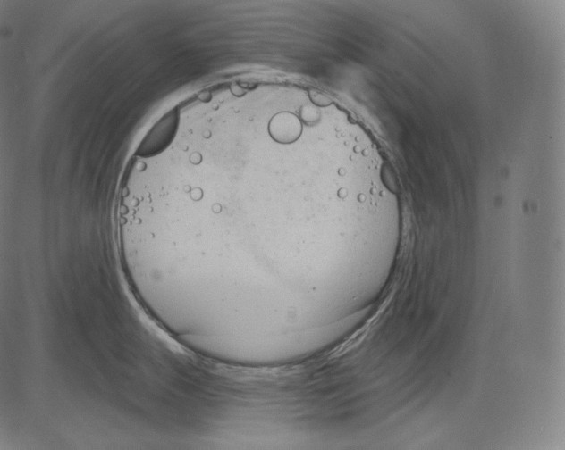 X0000083611247200703121554