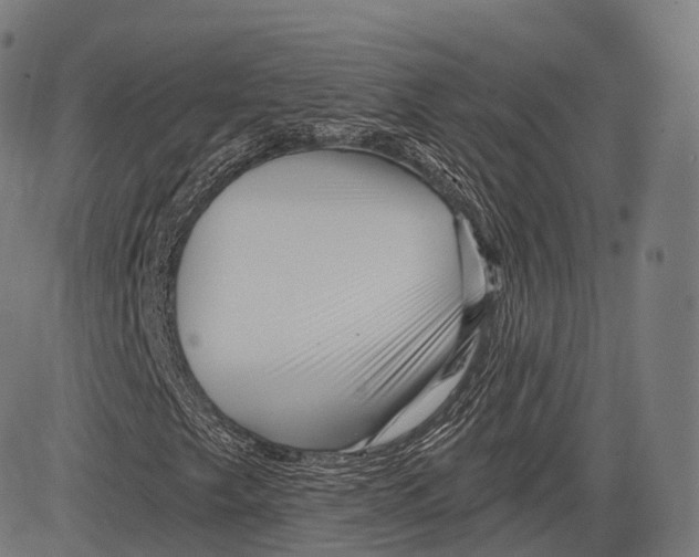 X0000083611249200703121553