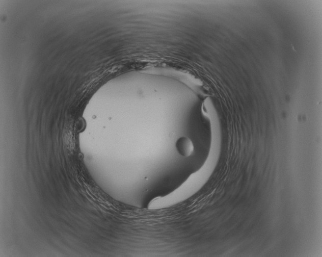 X0000083611250200703121553