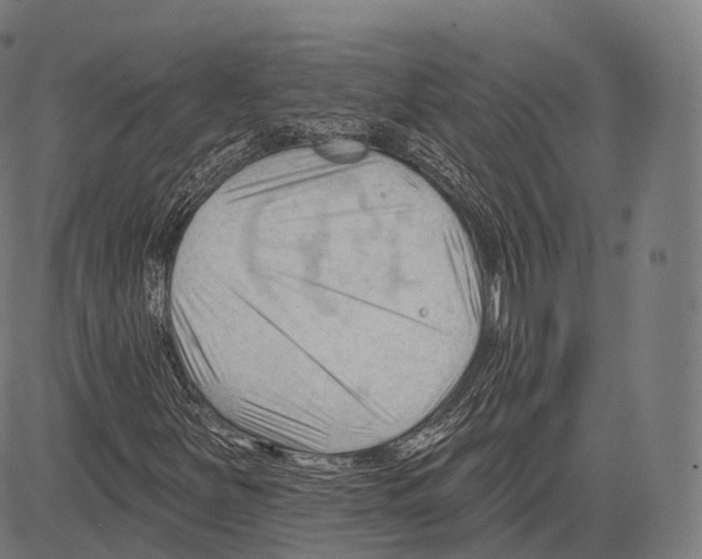 X0000083611251200703121553