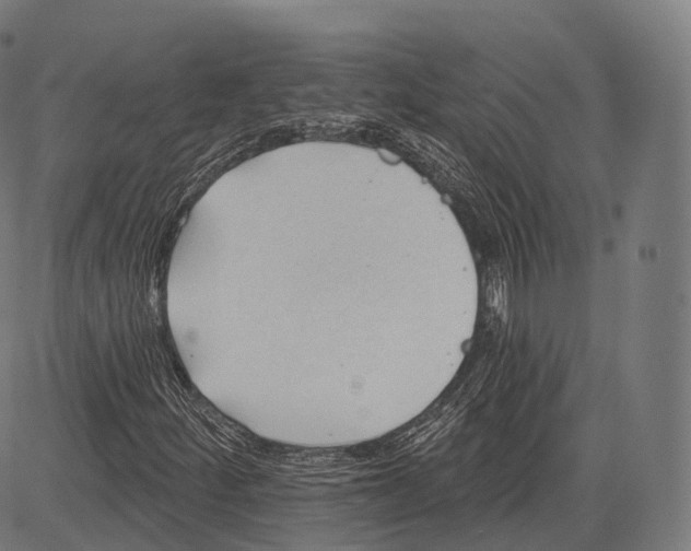 X0000083611252200703121553