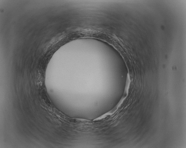 X0000083611253200703121553