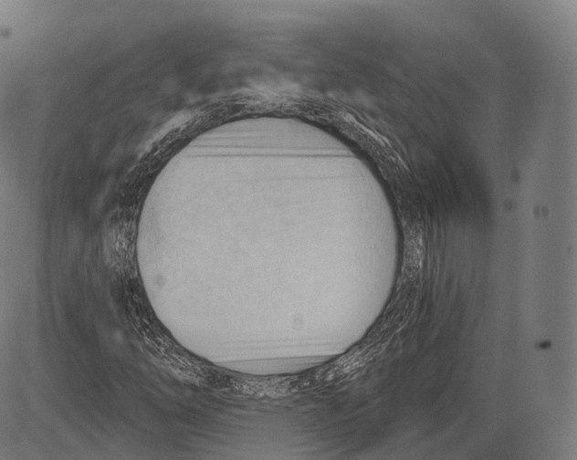 X0000083611254200703121553