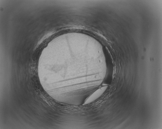 X0000083611255200703121553