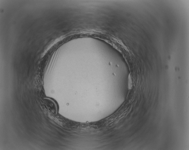 X0000083611256200703121553