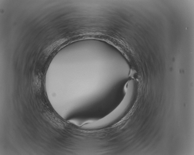 X0000083611257200703121553