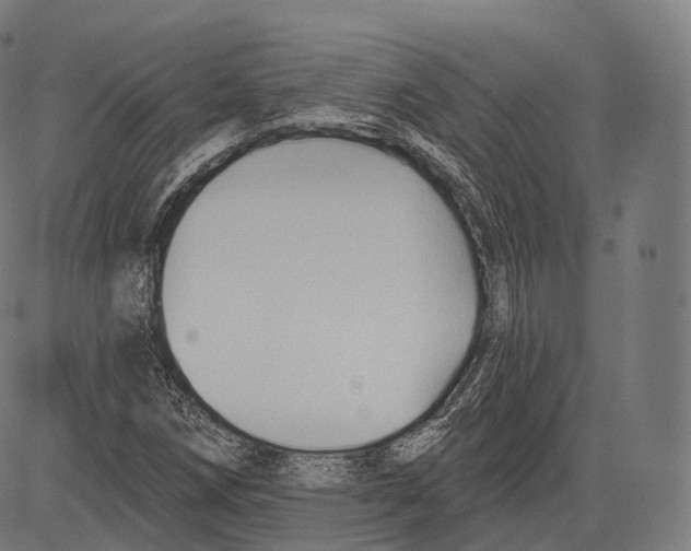 X0000083611258200703121553