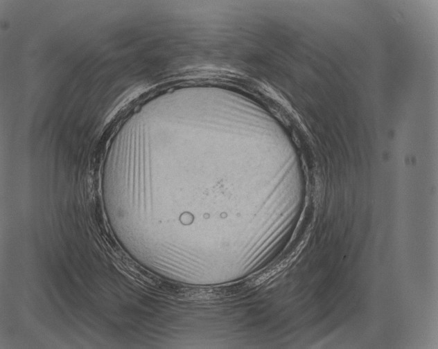 X0000083611259200703121553