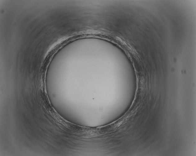 X0000083611262200703121553