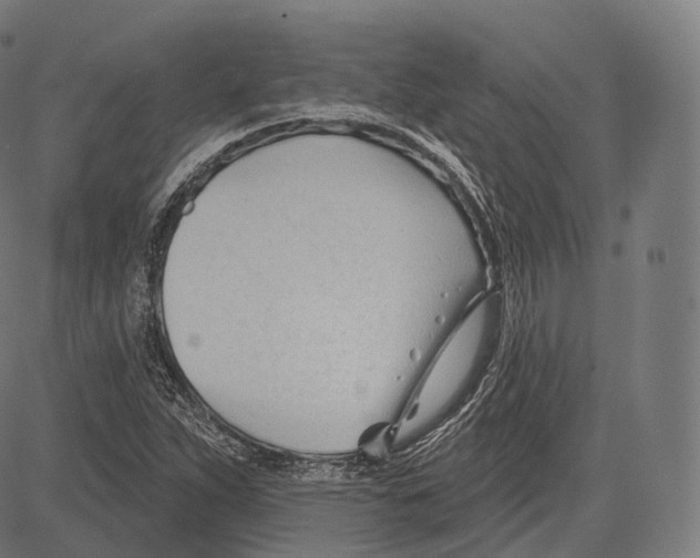 X0000083611263200703121553