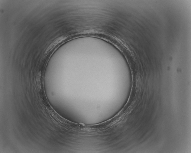 X0000083611265200703121553