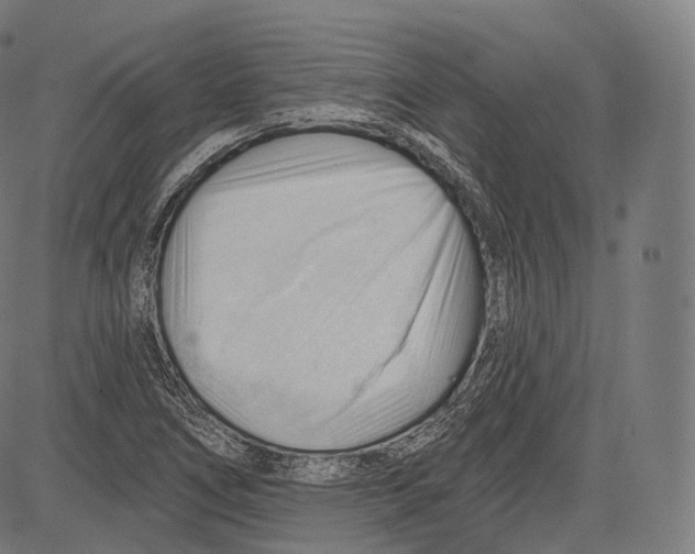 X0000083611266200703121553