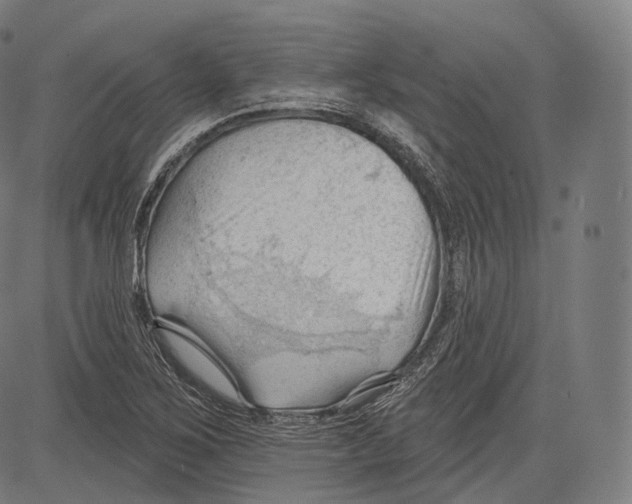 X0000083611267200703121553