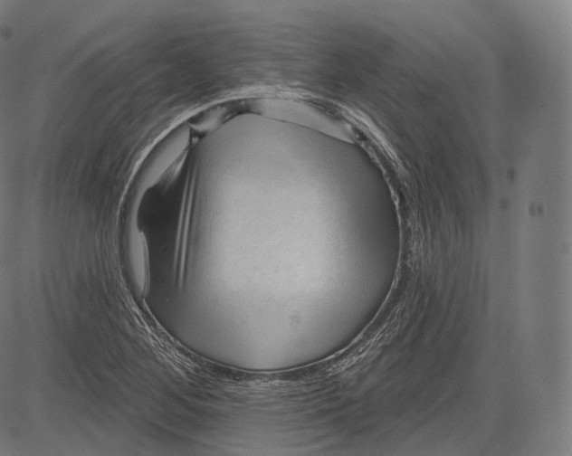 X0000083611268200703121553