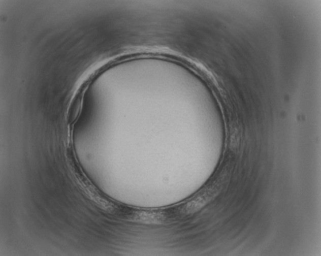 X0000083611271200703121553