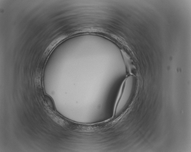 X0000083611273200703121553