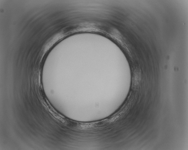 X0000083611274200703121553