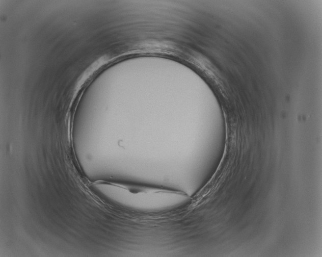 X0000083611275200703121553