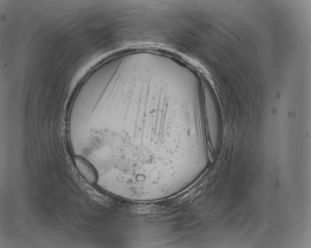 X0000083611279200703121553