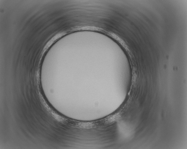 X0000083611282200703121553