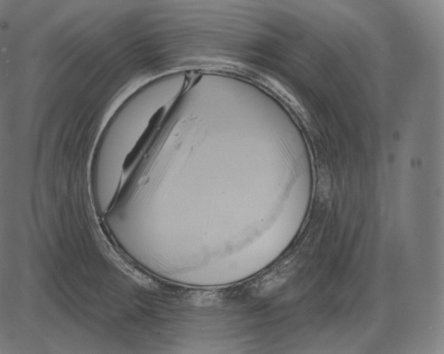 X0000083611283200703121553